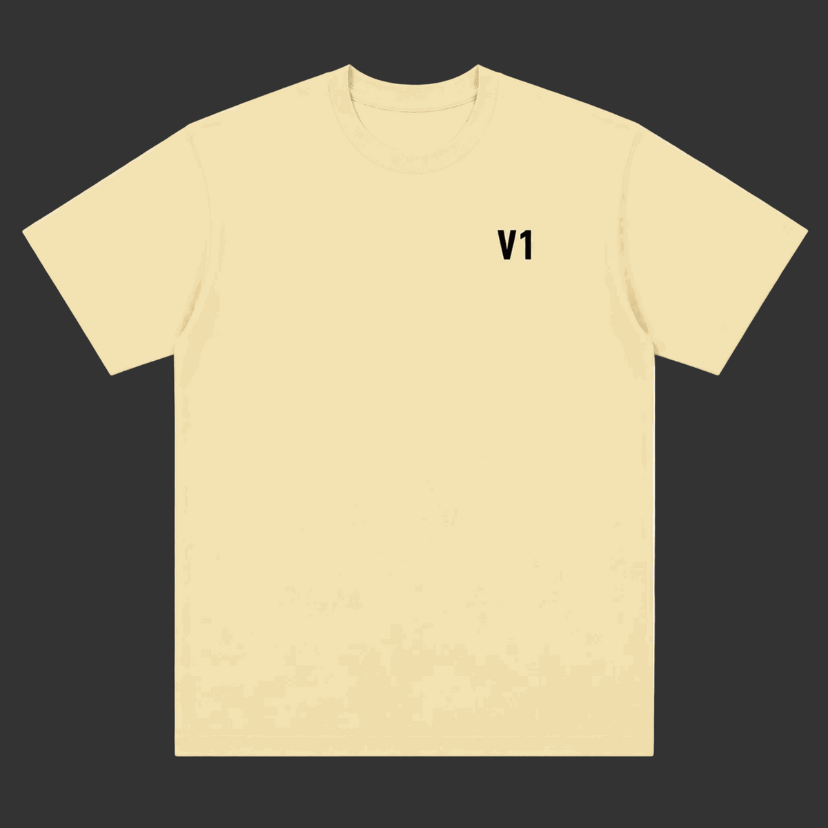 V1 T-Shirt Desert Sand heavyweight cotton oversized fit with aviation embroidery